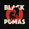 Black Pumas - Colors Ringtone