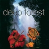 Deep Forest - Marta's Song Ringtone