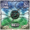 Zedd - Clarity Ringtone