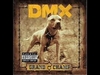 DMX - The Rain Ringtone